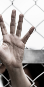 Survivors of Human Trafficking Empowered with Skills